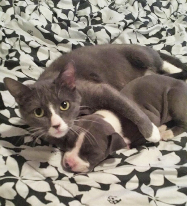 Brother From Another Mother Brother From Another Mother