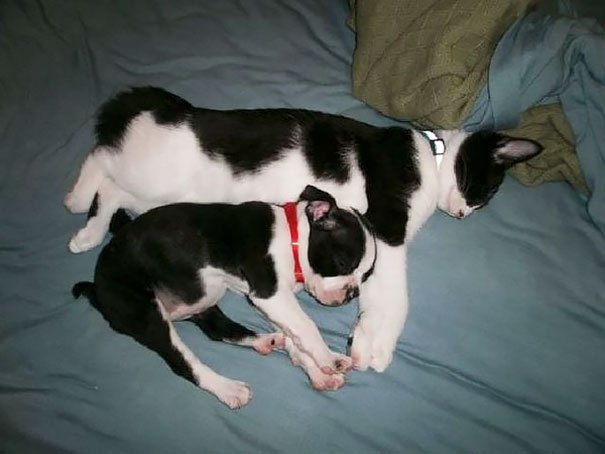 Brother From Another Mother Brother From Another Mother