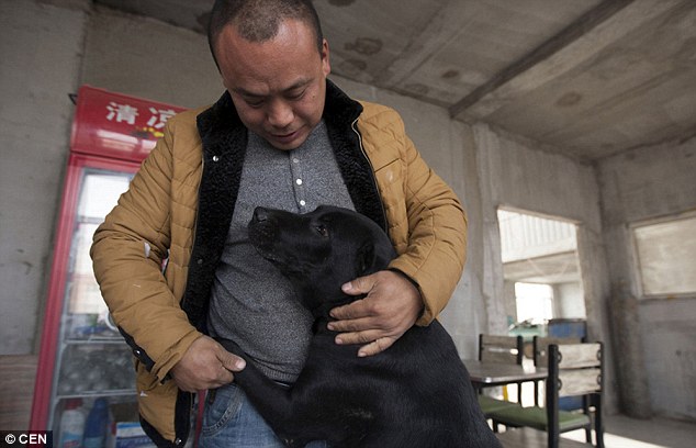 chinese_millionaire_loses_dog_and_rescues_2000_more_1
