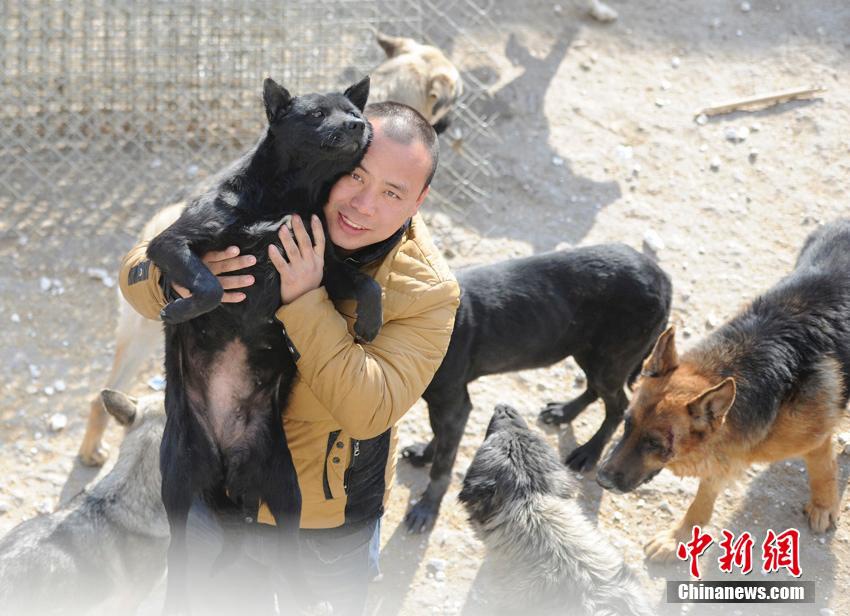 chinese_millionaire_loses_dog_and_rescues_2000_more_2