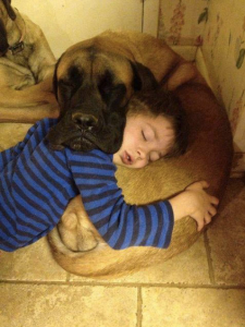 cute-dog-sleeping-with-boy