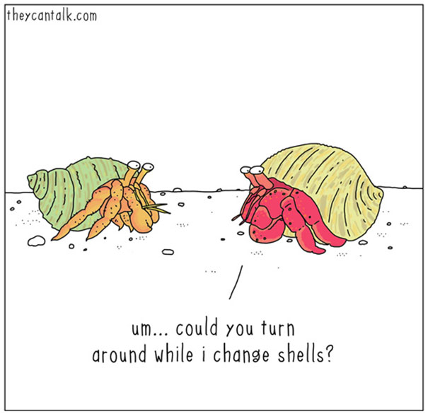 Funny Animal Comics Funny Animal Comics