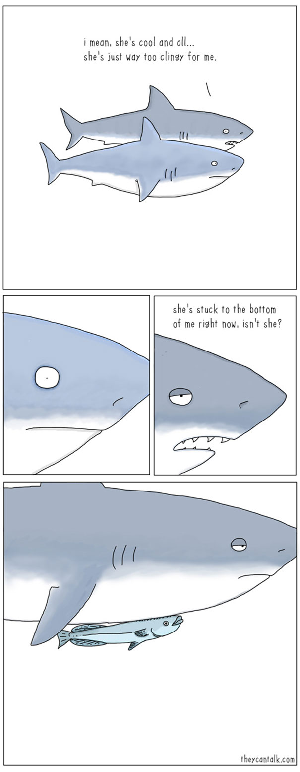 Funny Animal Comics Funny Animal Comics