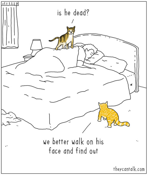 Funny Animal Comics