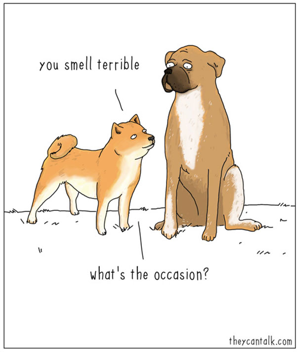 Funny Animal Comics