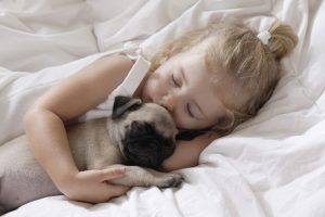 girl-sleeping-with-pug-puppy