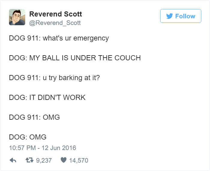 Dog 911