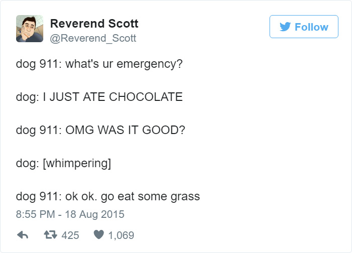 Dog 911