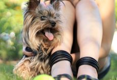 10 Surprising And Subtle Ways Your Dog Says ‘I Love You’
