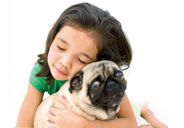 happy pug girl hug