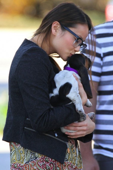 JAMIE CHUNG basset hound puppy