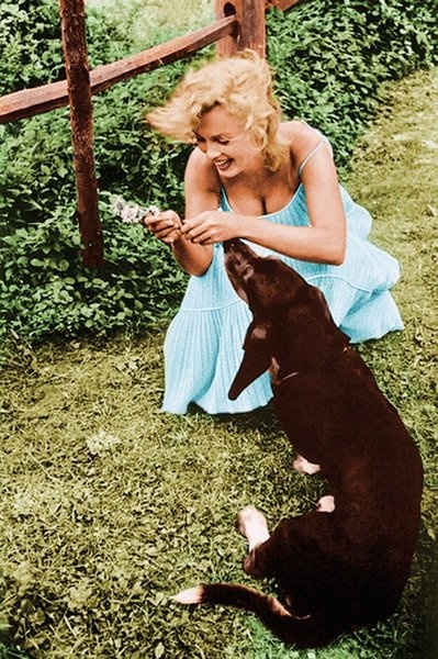 Marilyn Monroe and her dog