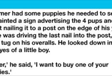 Boy Picks Out The Crippled Puppy Of The Litter To Buy From The Farmer