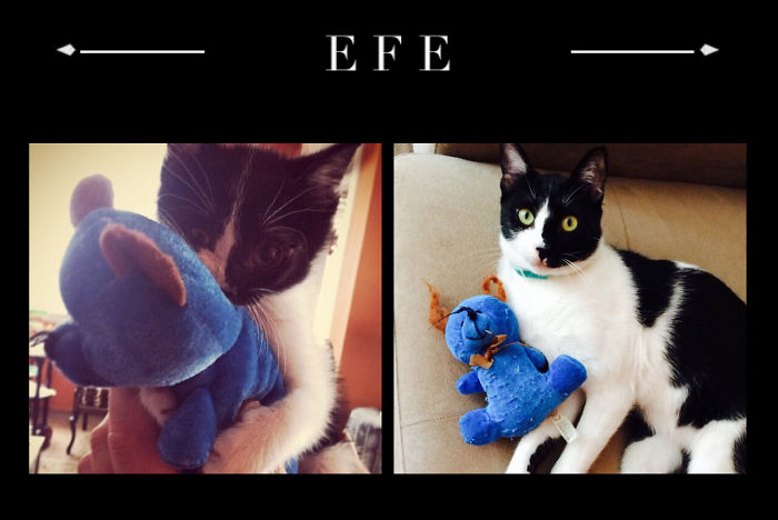 "efe" Still Playing His Bear =)