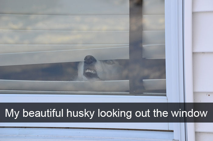 Husky Post