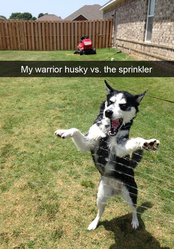 Husky Post