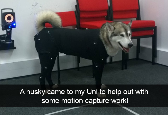 Husky Post