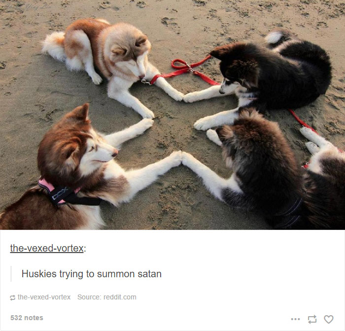 Husky Post