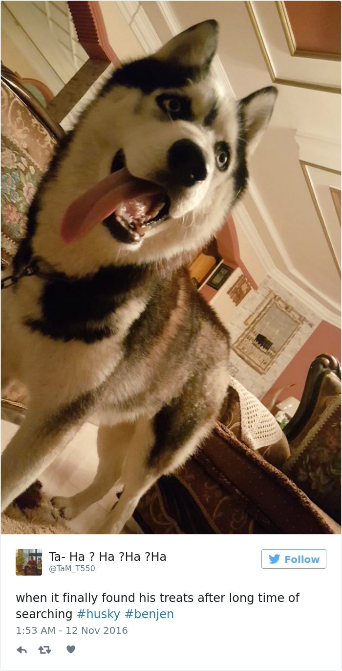 Husky Post