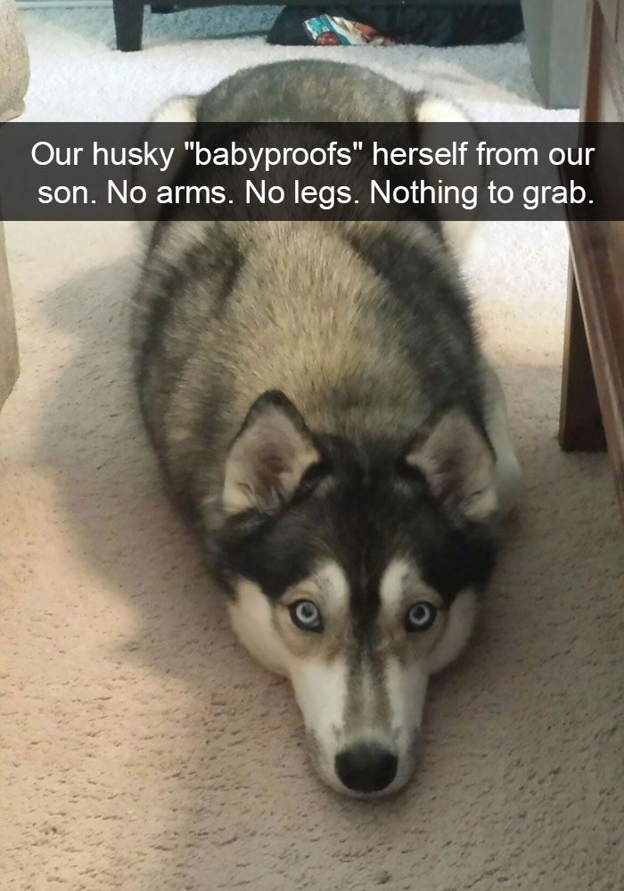 Husky Post