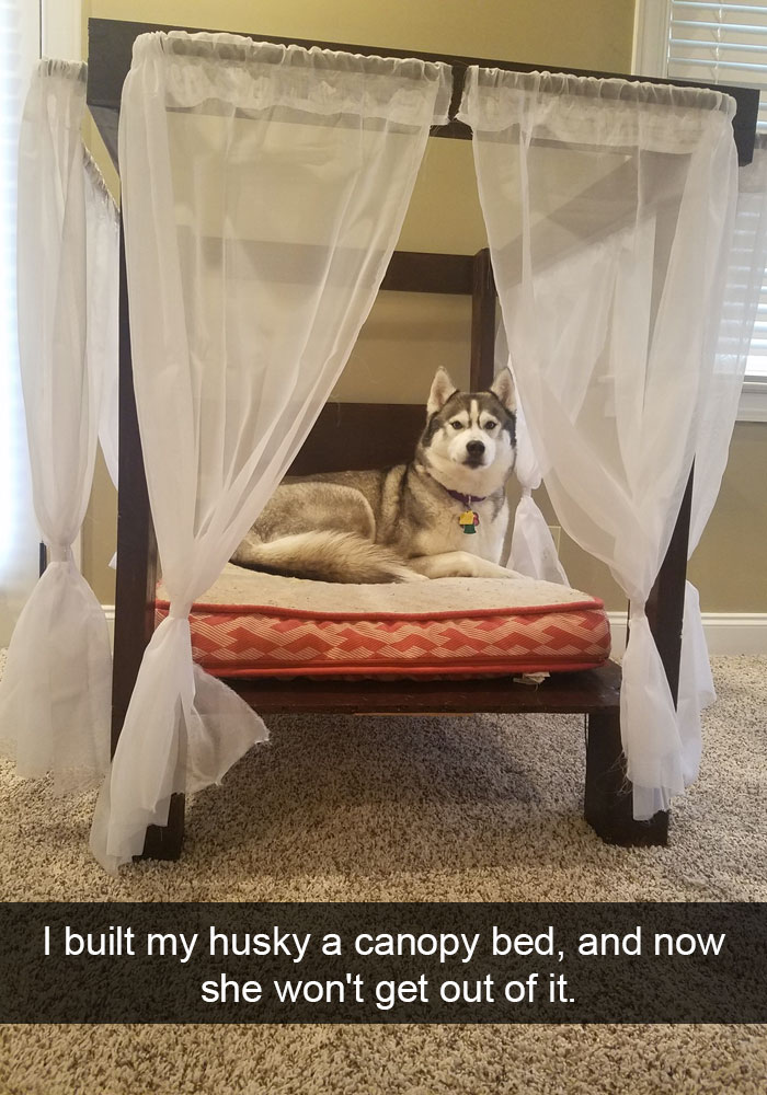 Husky Post