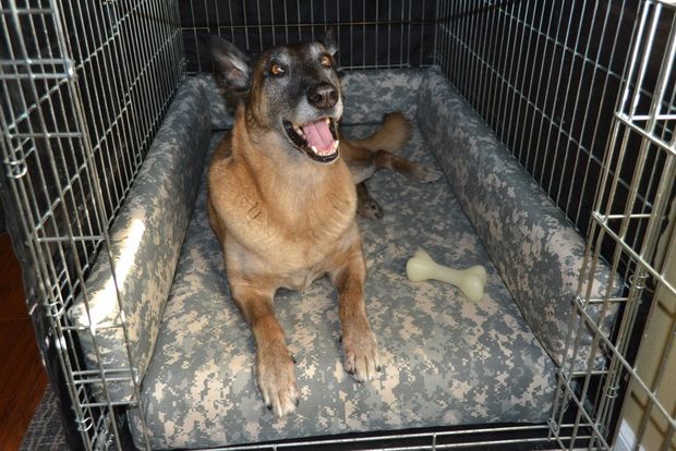 Picture of Super Comfy Dog Kennel Bed