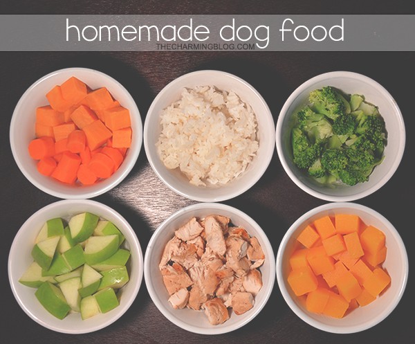 diy homemade dog food recipe 2