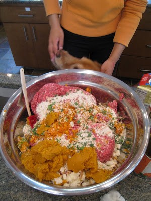 diy homemade dog food recipe 7