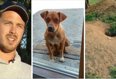 Groom Cooks Bacon In Cabin. When A Stray Dog Appears, She Leads Bachelor Party To Her Puppies…
