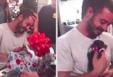 Depressed Marine Veteran Overcome With Emotion When He Gets Christmas Puppy Surprise