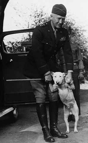 General Patton dog