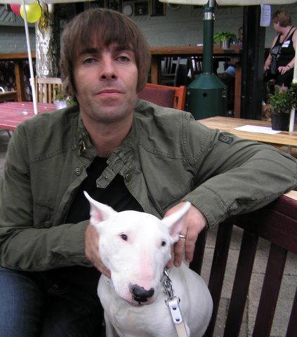 Liam Gallagher bull terrier