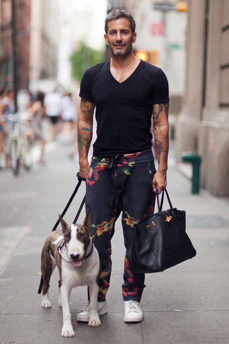 Marc Jacobs bull terrier