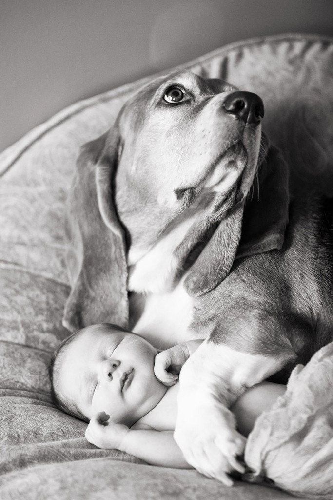small-babies-children-big-dogs-6__880-683x1024