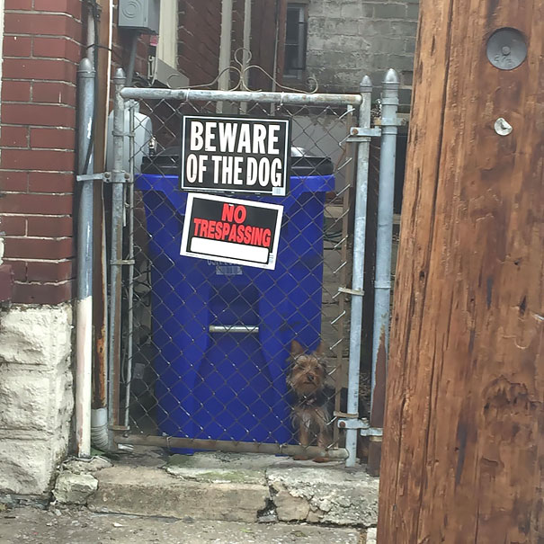 Beware Of The Dog