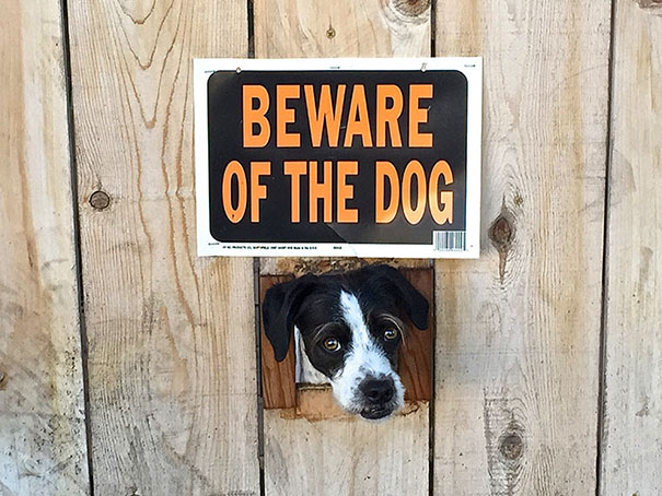 Beware Of The Dog