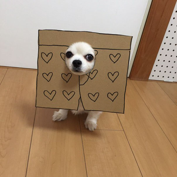 Cardboard Costume