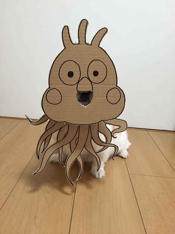 Cardboard Costume