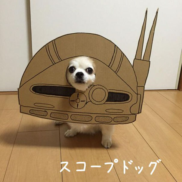 Cardboard Costume