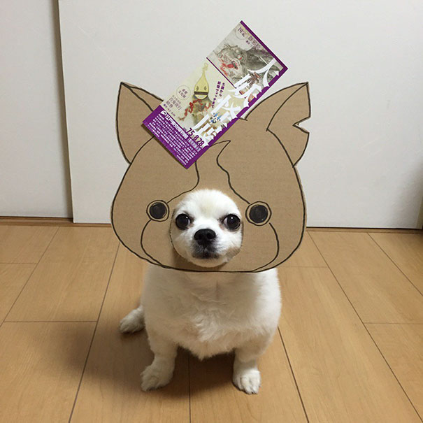 Cardboard Costume