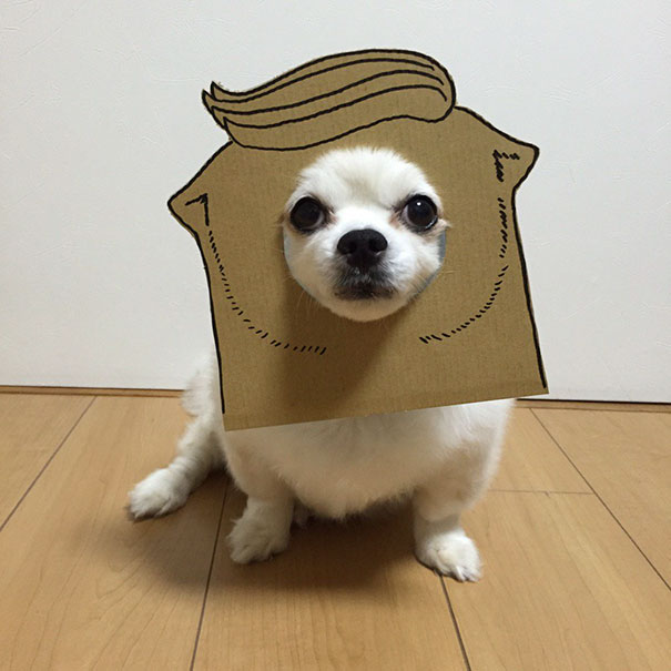 Cardboard Costume