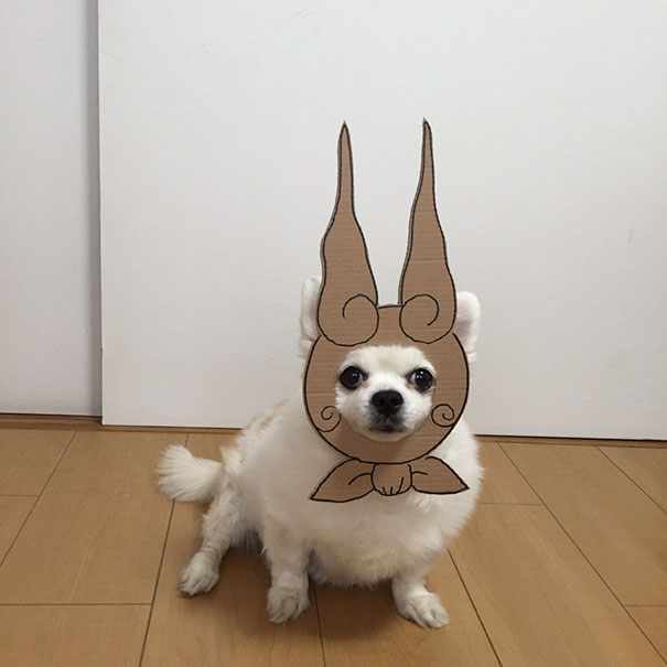 Cardboard Costume