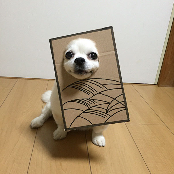 Cardboard Costume