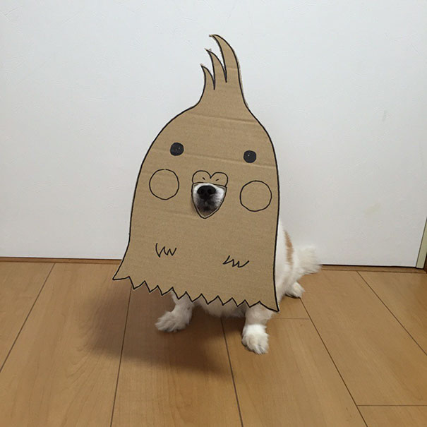 Cardboard Costume