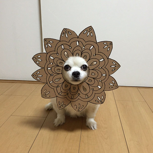 Cardboard Costume