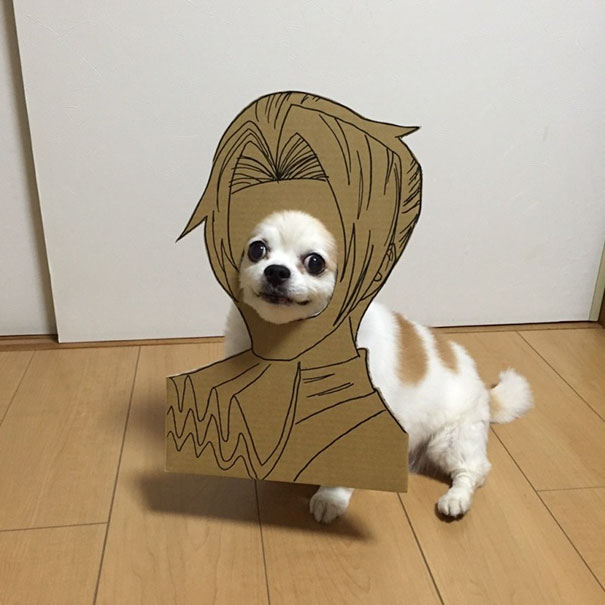 Cardboard Costume