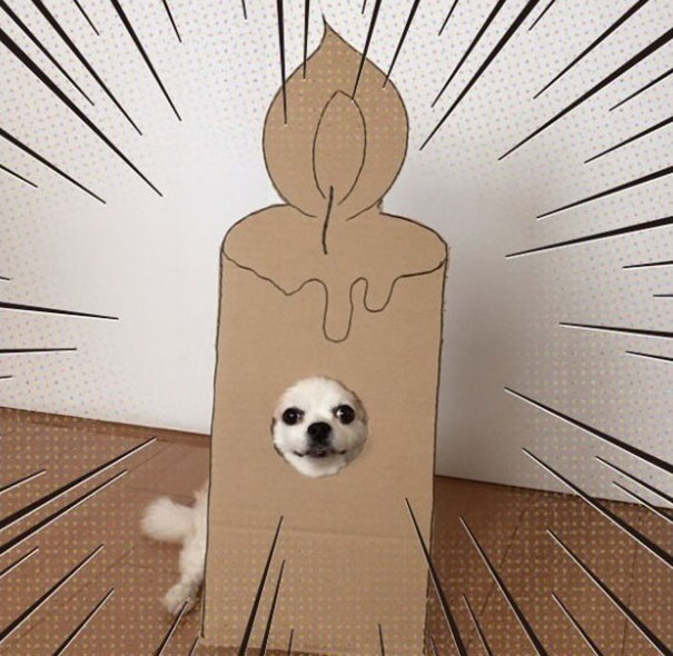 Cardboard Costume