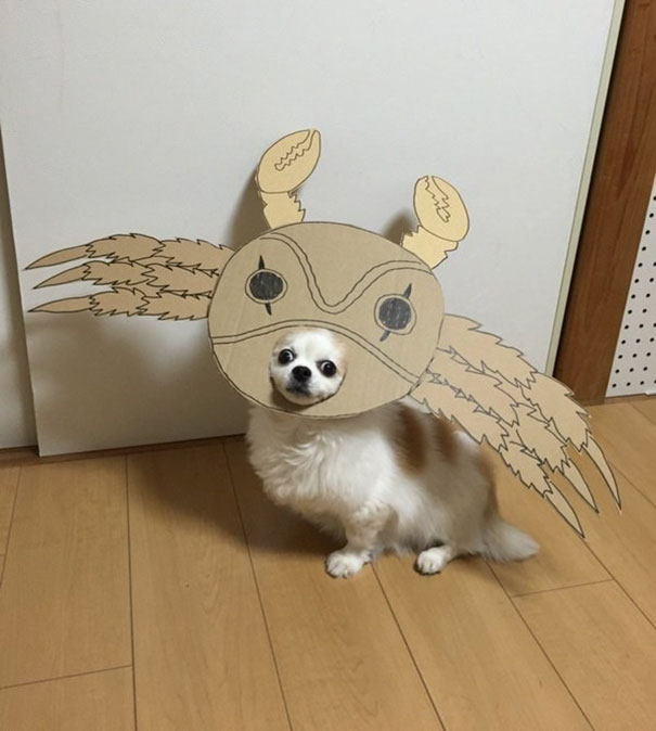 Cardboard Costume