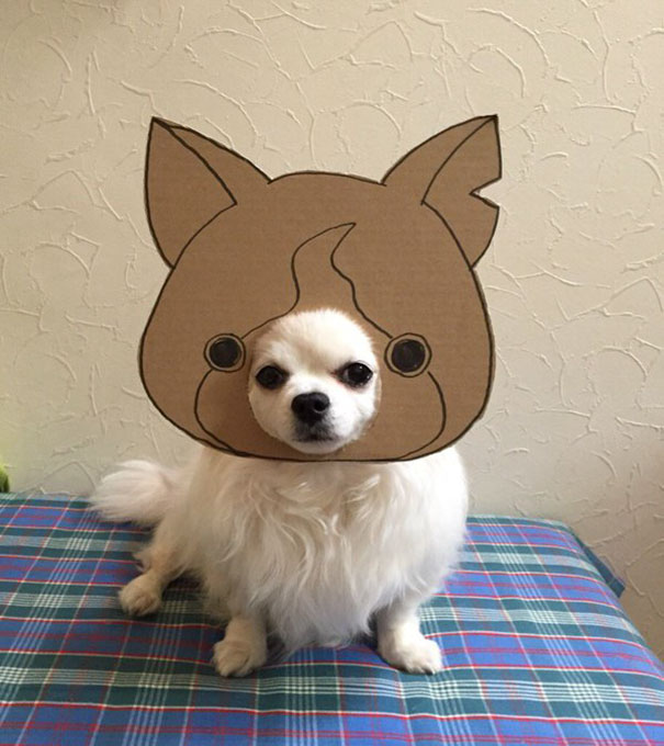 Cardboard Costume