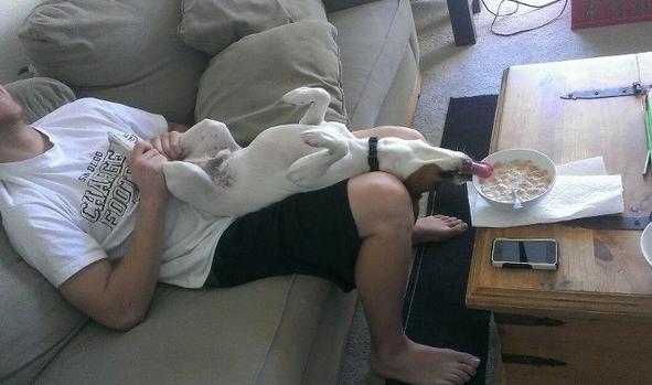 dog_owners_understand_12